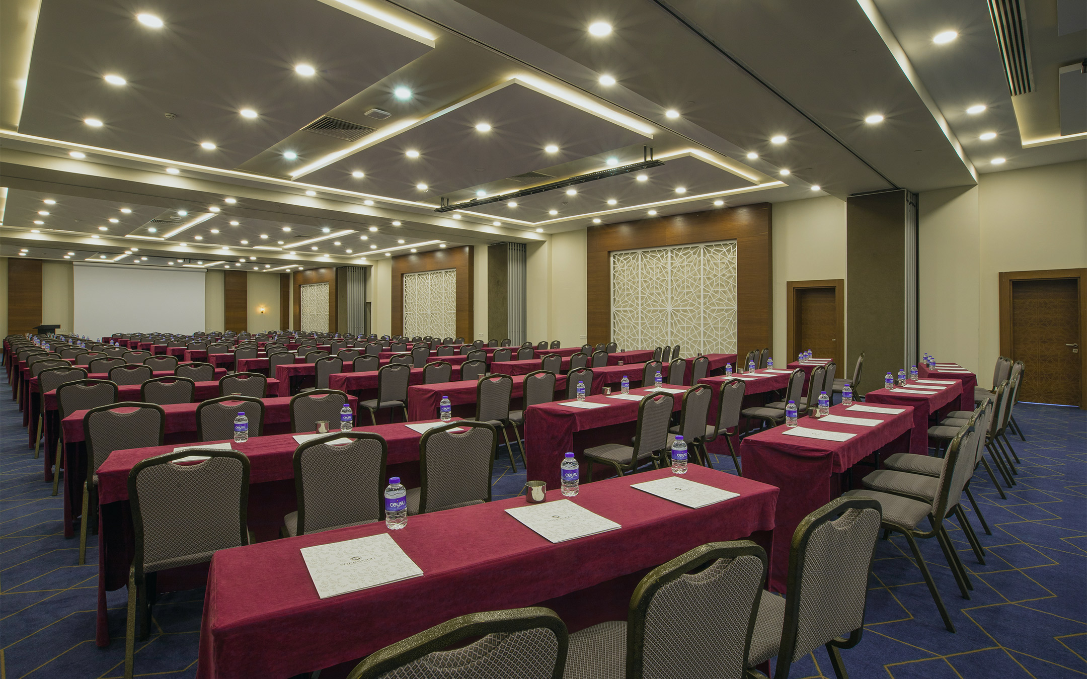 Toplantı ve Organizasyon
